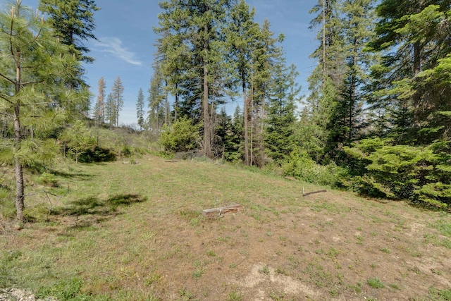 33319 N Conklin Rd, Elk, WA 99009 - view of yard