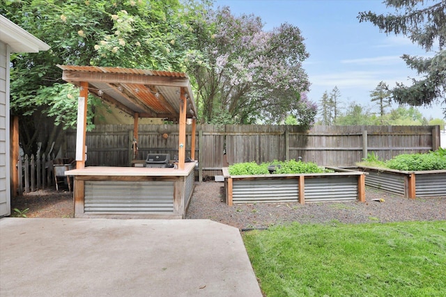 436 N Washington St, Tekoa, WA 99033 - view of yard with a patio area and a vegetable garden