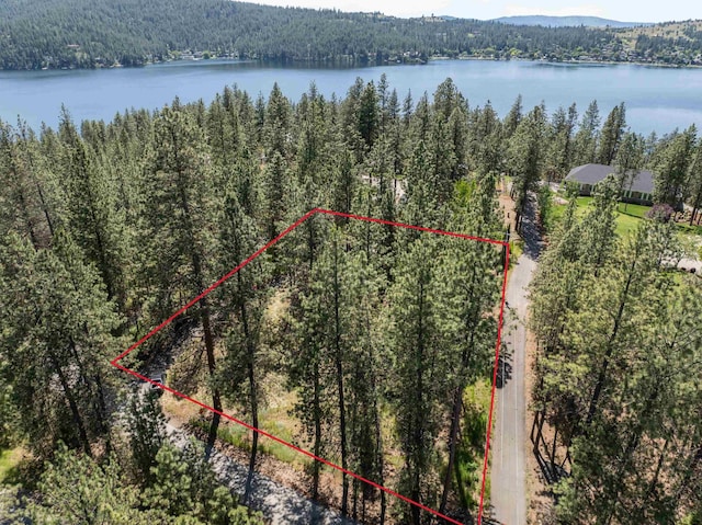 608 S Lakeside Rd, Liberty Lake, WA 99019 - photo 2
