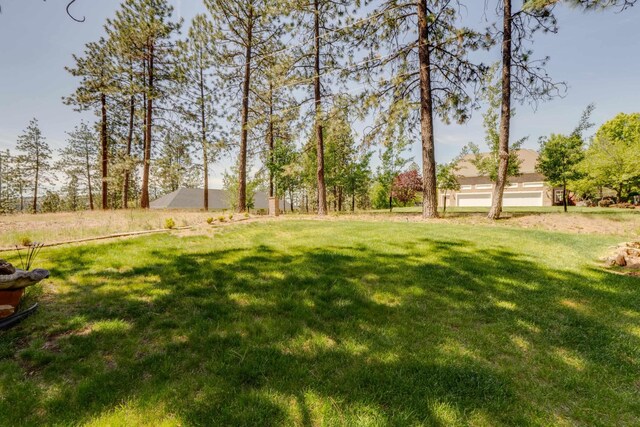 608 S Lakeside Rd, Liberty Lake, WA 99019 - photo 41