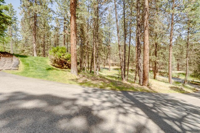 608 S Lakeside Rd, Liberty Lake, WA 99019 - photo 46