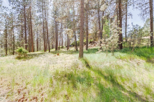 608 S Lakeside Rd, Liberty Lake, WA 99019 - photo 47
