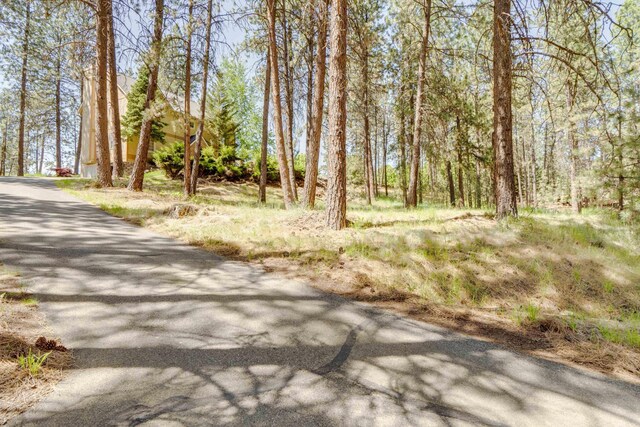 608 S Lakeside Rd, Liberty Lake, WA 99019 - photo 48