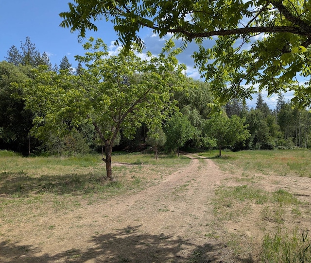 29511 N Schwachtgen Rd, Chattaroy, WA 99003 - photo 2