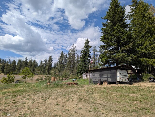 29511 N Schwachtgen Rd, Chattaroy, WA 99003 - photo 12