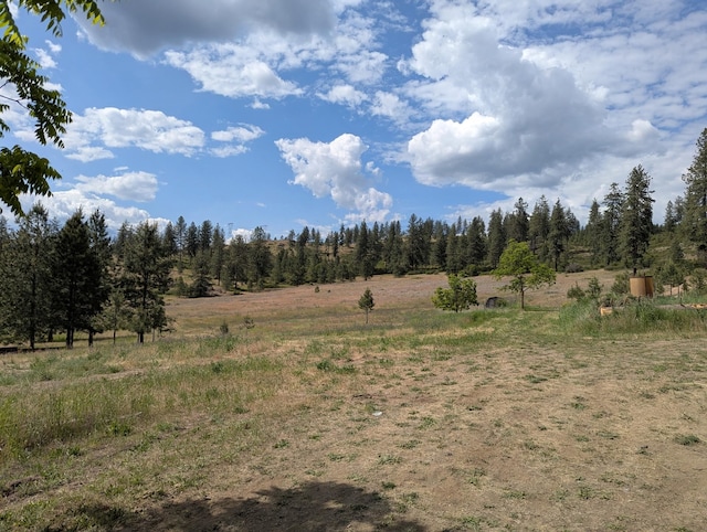 29511 N Schwachtgen Rd, Chattaroy, WA 99003 - photo 13