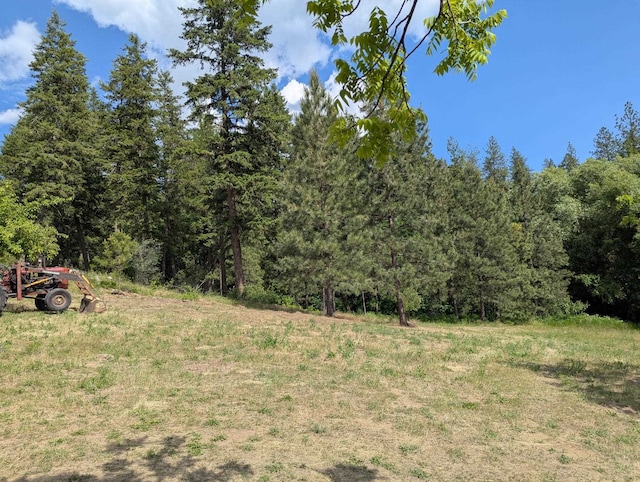 29511 N Schwachtgen Rd, Chattaroy, WA 99003 - photo 16