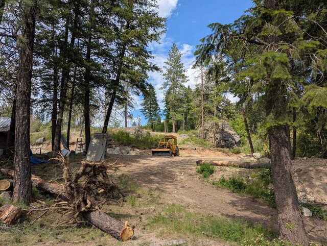 29511 N Schwachtgen Rd, Chattaroy, WA 99003 - photo 5
