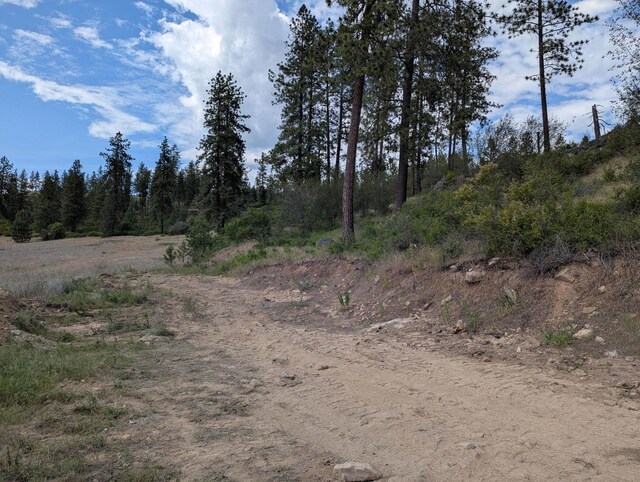 29511 N Schwachtgen Rd, Chattaroy, WA 99003 - photo 8