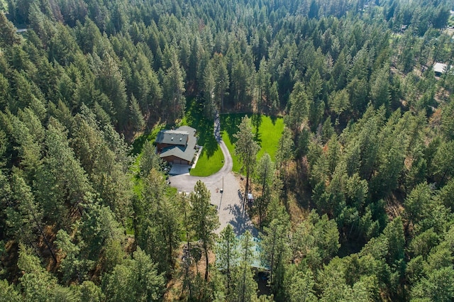 5999 E Roger Dr, Post Falls, ID 83854 - aerial view of property's location with a forest