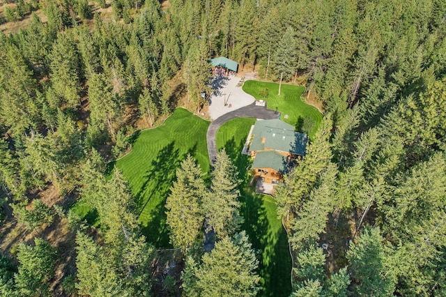 5999 E Roger Dr, Post Falls, ID 83854 - drone / aerial view of a heavily wooded area