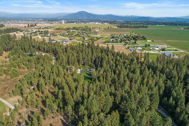 5999 E Roger Dr, Post Falls, ID 83854 - aerial overview of property's location featuring mountains