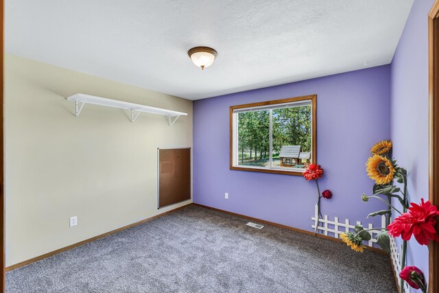 17434 N Meadowview Ln, Nine Mile Falls, WA 99026 - photo 20
