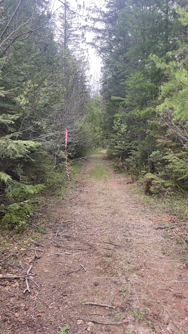 3084 Sicley Rd, Cusick, WA 99119
