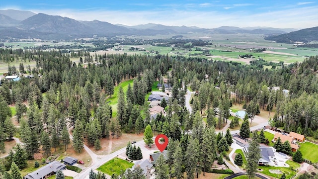 252 N Eagle Dr, Chewelah, WA 99109 - aerial view of property and surrounding area featuring a mountainous background