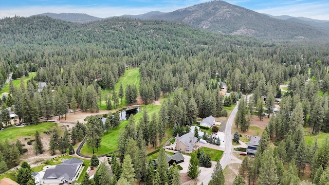 252 N Eagle Dr, Chewelah, WA 99109 - aerial view of property's location with a forest and mountains