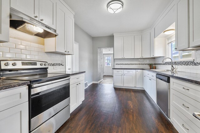 2512 E Rowan Ave, Spokane, WA 99217 - kitchen with appliances with stainless steel finishes, under cabinet range hood, a sink, dark wood finished floors, and healthy amount of natural light