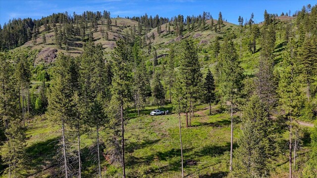 261 Sandwich Creek Rd, Usk, WA 99180 - photo 27