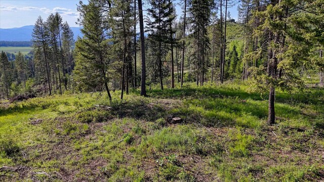 261 Sandwich Creek Rd, Usk, WA 99180 - photo 30