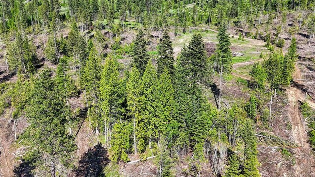 261 Sandwich Creek Rd, Usk, WA 99180 - photo 39