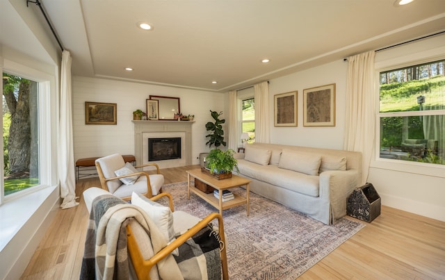 19009 N Little Spokane Dr, Colbert, WA 99005 - living room featuring healthy amount of natural light, wood finished floors, a fireplace, and recessed lighting
