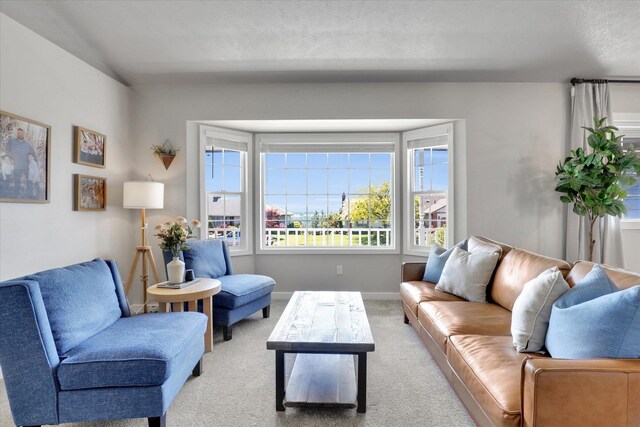 10102 N Comanche Dr, Spokane, WA 99208 - living room featuring carpet and baseboards