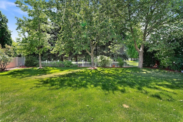 1725 N Mcmillan Ln, Spokane Valley, WA 99016 - view of yard