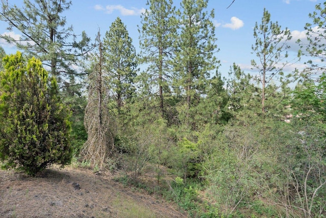 2606 S SE Blvd, Spokane, WA 99223