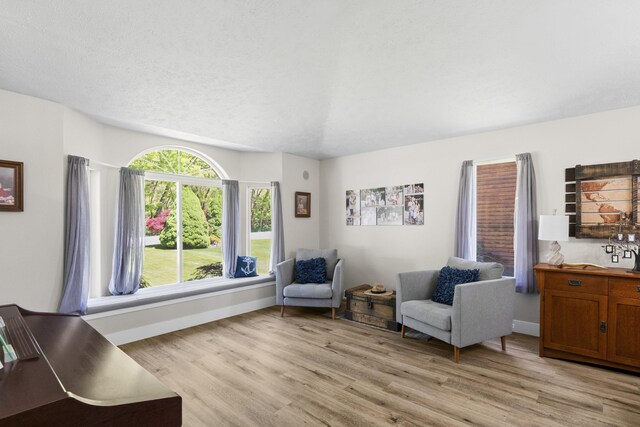 12621 N E Newman Lake Dr, Newman Lake, WA 99025 - sitting room with light wood-style flooring and baseboards