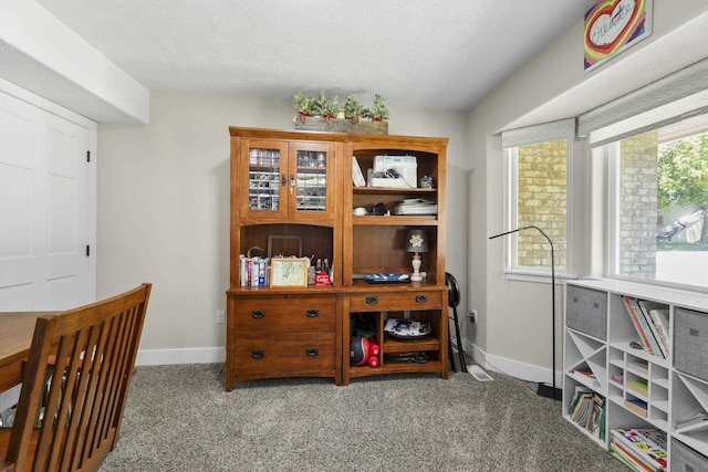 12621 N E Newman Lake Dr, Newman Lake, WA 99025 - office area featuring carpet flooring, baseboards, and a textured ceiling