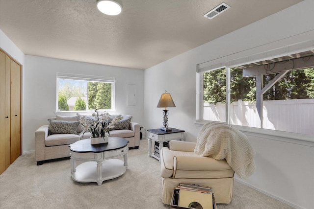 8310 E Bull Pine Ln, Spokane, WA 99217 - living area with light carpet and a textured ceiling