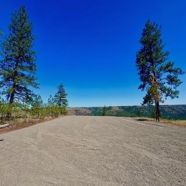 34442 N Partridge Ln, Davenport, WA 99122