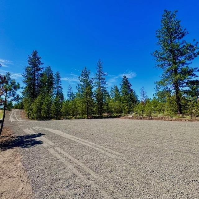 34442 N Partridge Ln, Davenport, WA 99122