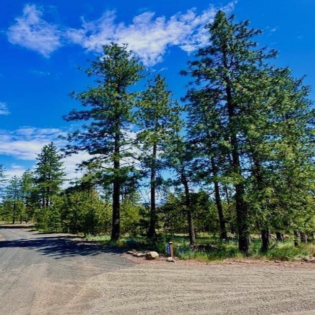 34442 N Partridge Ln, Davenport, WA 99122