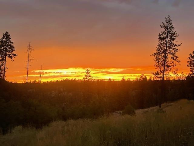34442 N Partridge Ln, Davenport, WA 99122