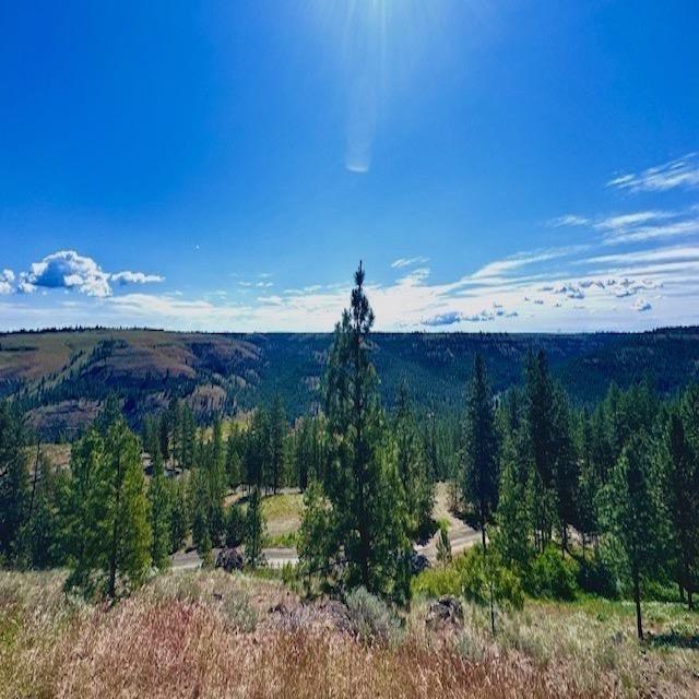34442 N Partridge Ln, Davenport, WA 99122