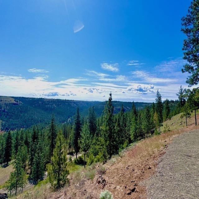 34442 N Partridge Ln, Davenport, WA 99122
