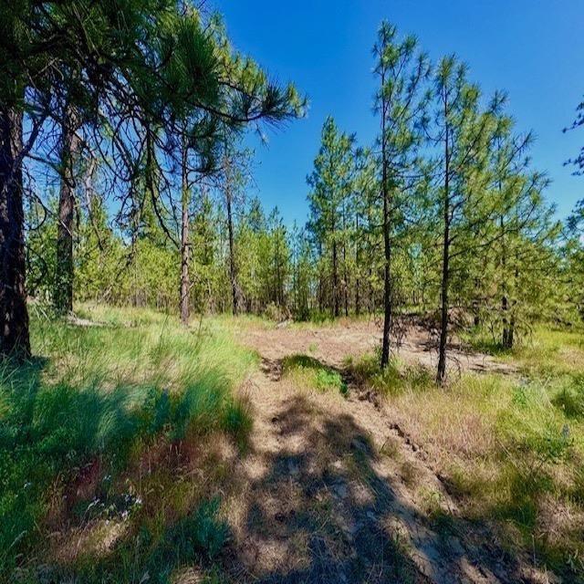 34442 N Partridge Ln, Davenport, WA 99122