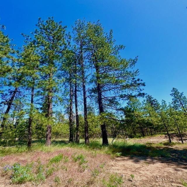 34442 N Partridge Ln, Davenport, WA 99122