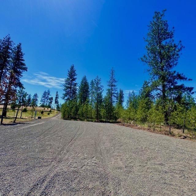 34442 N Partridge Ln, Davenport, WA 99122