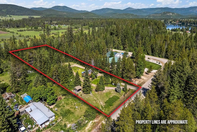 1100 Graham Rd, Cusick, WA 99119 - view of property location with a heavily wooded area, property parcel outlined, and a water and mountain view