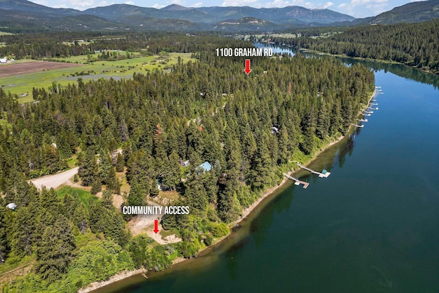 1100 Graham Rd, Cusick, WA 99119 - aerial view of property and surrounding area with a heavily wooded area and a water and mountain view