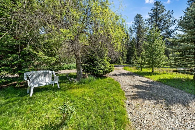1100 Graham Rd, Cusick, WA 99119 - view of community featuring a forest view