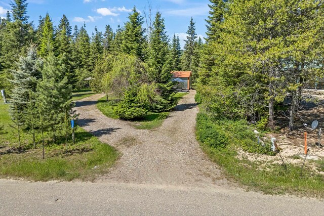 1100 Graham Rd, Cusick, WA 99119 - view of dirt / gravel driveway