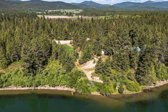 1100 Graham Rd, Cusick, WA 99119 - aerial overview of property's location featuring a heavily wooded area and a water and mountain view