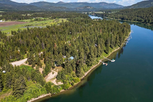 1100 Graham Rd, Cusick, WA 99119 - aerial view of property and surrounding area with a heavily wooded area and a water and mountain view