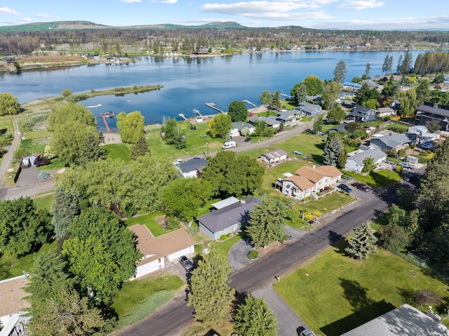 11132 S Silver Lake Rd, Medical Lake, WA 99022 - aerial view of property's location with a water and mountain view