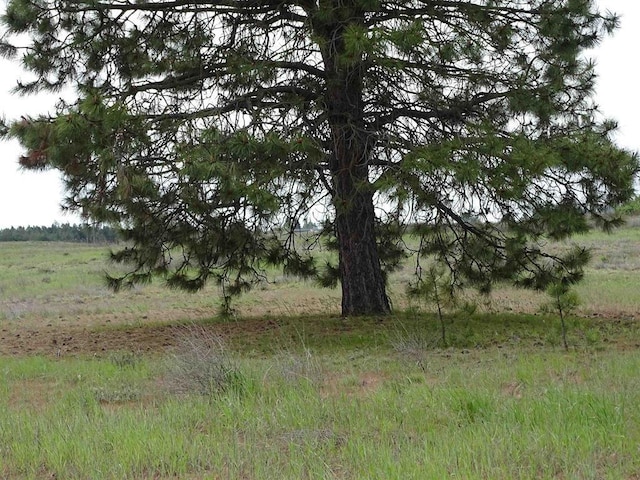 Listing photo 8 - caption unavailable