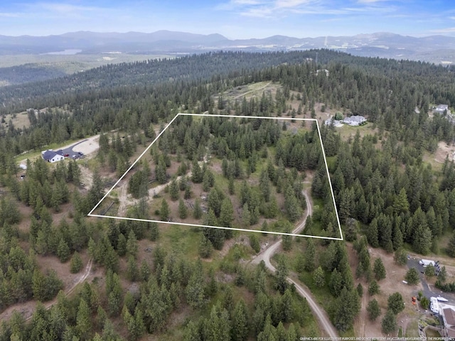 NNA N Jack Ln, Chattaroy, WA 99003 - photo 1