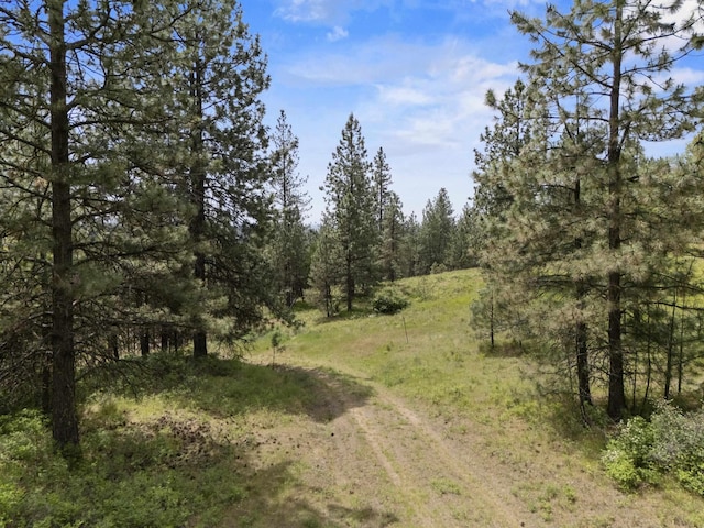 NNA N Jack Ln, Chattaroy, WA 99003 - photo 11